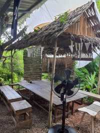 เติบ คาเฟ่ บางคนที เหมาะสำหรับคนชอบธรรมชาติ
