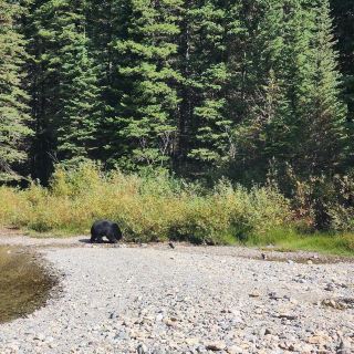 Glacier National Park