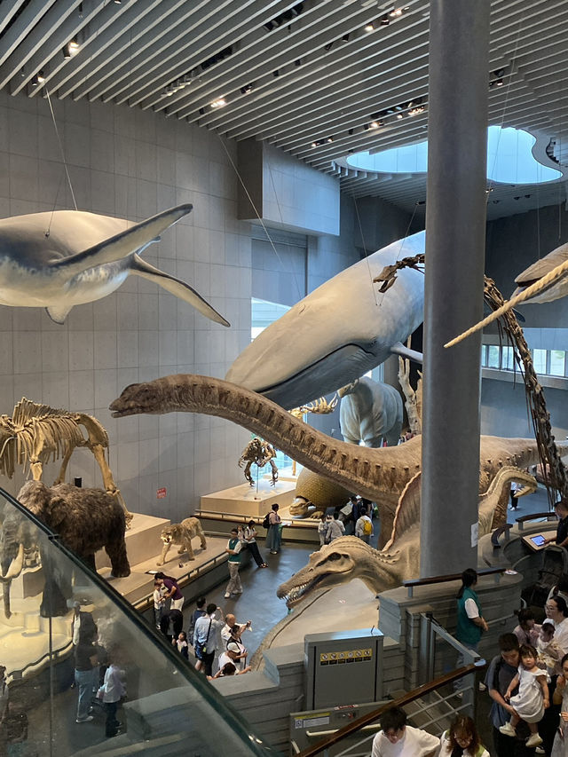 Shanghai Natural History Museum 🦖🦕🐘🦌🦒🦏🦥