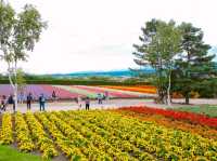 Farm Tomita Hokkaido