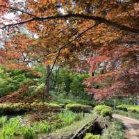 【東京町田】美しい池と植物の楽園