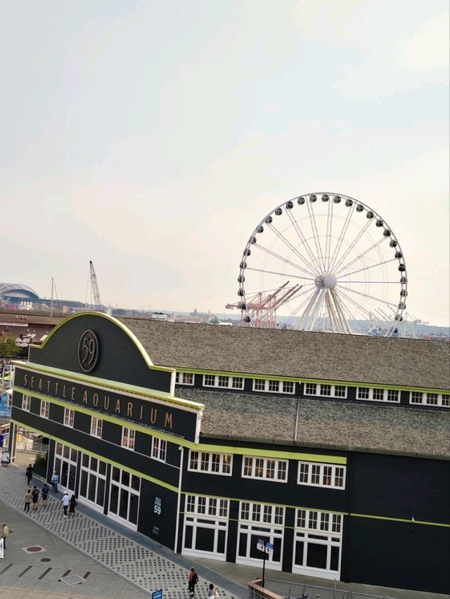 西雅圖城市的亮點❣️：Seattle Great Wheel