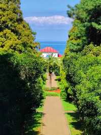 🌿 Batumi Botanical Garden – A Green Paradise by the Black Sea