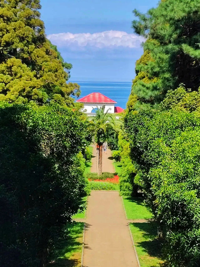 🌿 Batumi Botanical Garden – A Green Paradise by the Black Sea