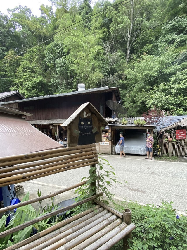 ✨🌿 แม่กำปอง หมู่บ้านเล็กในหุบเขาที่น่าหลงรัก