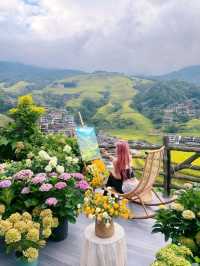 Rice Terrace