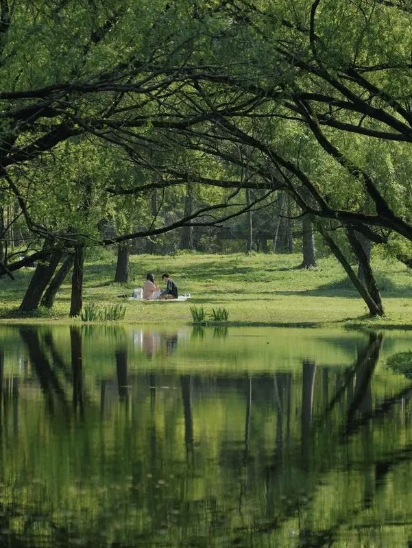 上海🇨🇳共青森林公園