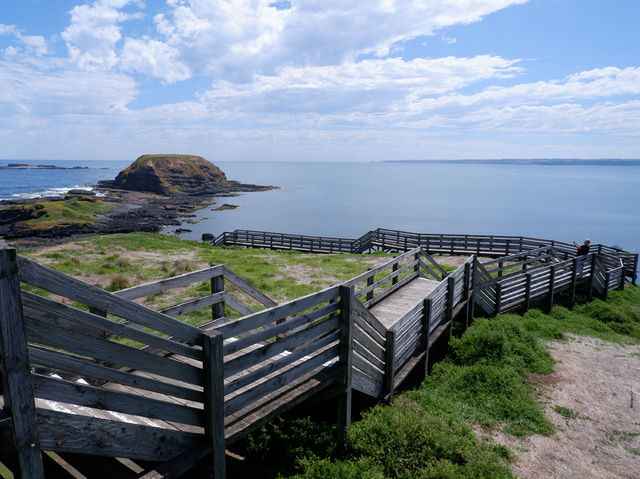 🐾 รีวิว: The Nobbies – จุดชมวิวและธรรมชาติ