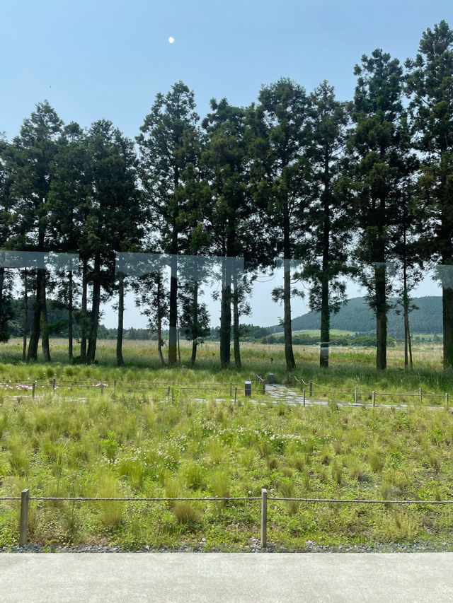 🥗🍚블루보틀 제주 동쪽 구좌 카페 가볼만한곳