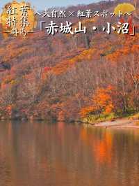 【穴場の紅葉】観光攻略付‼️山深い静寂の湖へ！🍁🏞️✨赤城山が生んだ神秘のカルデラ湖畔を歩く🚶‍♀️