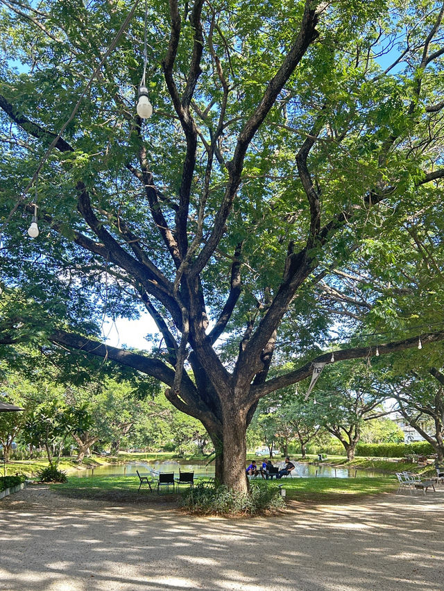 🌿 กองอากง ลำปางแสนร่มรื่น