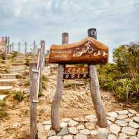 雙腳代替纜車：登太平山頂、爬『西高山』，一路看盡香港風光～