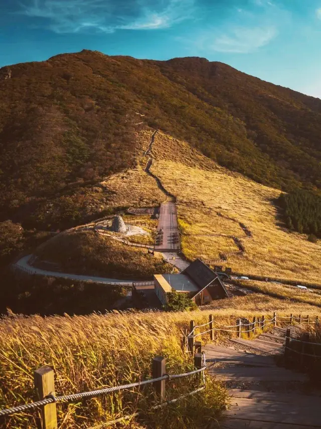 Ganwoljae Flame grass Road