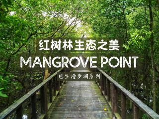 🌿 Mangrove Point: Experience the Beauty of Klang's Mangrove Ecosystem Up Close

As a coastal city, Klang boasts a rich and unique mangrove ecosystem. To better protect this precious natural treasure, Selangor Maritime Gateway and the Selangor Forestry Department (Jabatan Perhutanan Negeri Selangor) have jointly established Mangrove Point, a 70-acre mangrove reserve. It will officially open to the public on July 26, 2023!

🌅 For a relaxing and enjoyable mangrove exploration, visit early in the morning or late in the evening, when the weather is cooler and the environment is more inviting. As the only mangrove park in Klang, the park is open to the public 24/7 and illuminated at night. However, please note: enter at night at your own risk and exercise due caution.

🚶♂️ Immerse yourself in the mangroves and experience the company of the mangroves

Mangrove Point boasts a roughly 1-kilometer-long wooden trail, part of which runs alongside the Klang River. Numerous interpretive signage explains the ecological functions of the mangroves and the flora and fauna they inhabit, creating an engaging and educational experience perfect for families or eco-learning trips.

Uniquely, the trail is meticulously laid out to adhere to the mangroves' pristine natural landscape, minimizing disturbance to nature. This allows visitors to immerse themselves in the authentic ecology of the mangroves and experience the mystery and vitality of the wetland forest.

🦜 Ecological Interactions and Diverse Biodiversity

Walking along the trails at Mangrove Point offers an immersive experience of breathing in nature. The park also features viewing platforms, making it a great spot for fishing and a haven for birdwatchers. Common bird sightings include the colorful kingfisher (Burung Raja Udang) and the ethereal Pale-backed Tit (Burung Serai Bakau). If you take the time to explore, you might stumble upon them!

📍 Mangrove Point @ Klang
Transportation Tips:
We recommend driving; ample parking is available.

Entrance Fee:
Free, free to explore.

Reminders:
- Avoid entering the park during rainy weather to avoid slippery trails and accidents.
- When traveling with children, please pay close attention to safety, especially near water or on terraces.

Visit Mangrove Point and enter the embrace of the wetland forest. Let the tranquility and vitality of the mangroves quietly nourish your understanding and reverence for nature. 🌱🌊

#Klang #Mangroves #There's So Much You Don't Know About Klang
#DiscoverADifferentKlang #MalaysiaTravel #klanghiddengem #FamilyDestinations #NatureExplorationTour #BatikBear #Malaysia #Cycling #PrivateTour #PlanItinerary