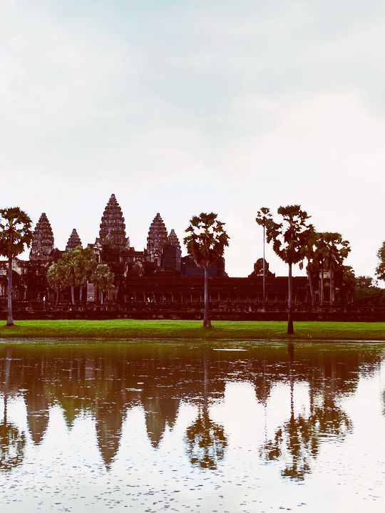 🌅 Angkor Wat Sunrise: When Ancient Stones Catch Fire with Dawn's First Light! 🏛️