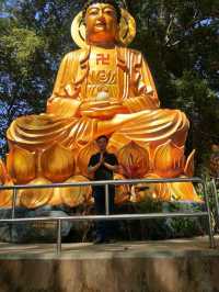 Banyan Tree Temple