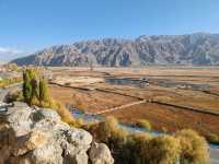 A Bird's-Eye View of the Golden Grassland: A Golden Scroll on the Pamir Plateau