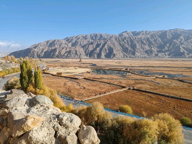 A Bird's-Eye View of the Golden Grassland: A Golden Scroll on the Pamir Plateau