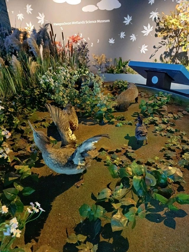 생생한 자연을 담은 디오라마 전시🌾🦆