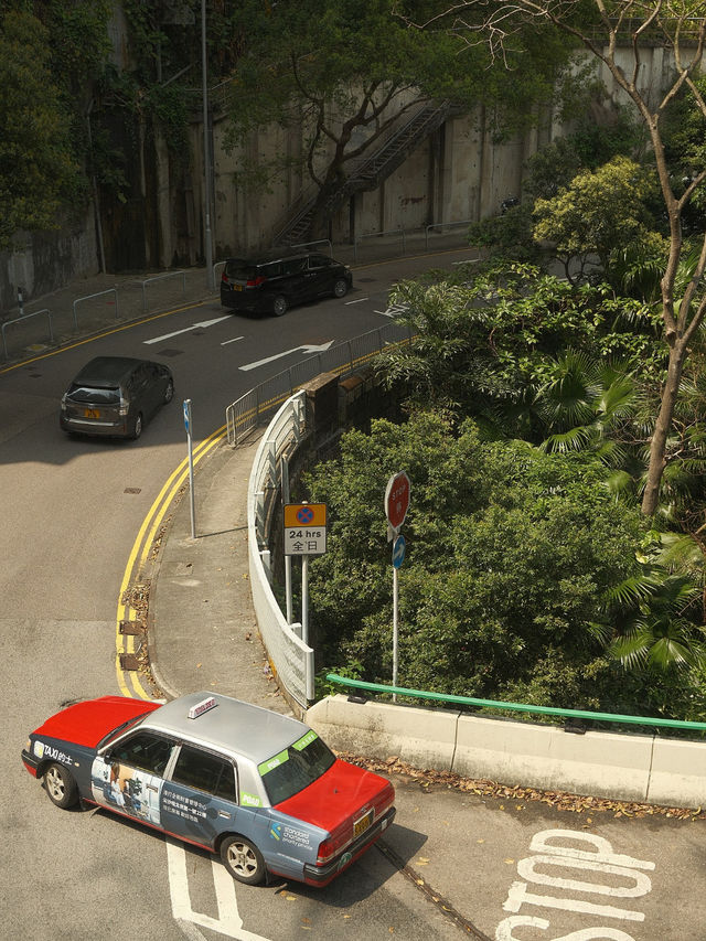 홍콩, 빛으로 물든 도시의 밤