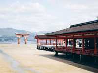 นั่งเรือข้ามเกาะMiyajimaเที่ยวศาลเจ้าสวยสุด