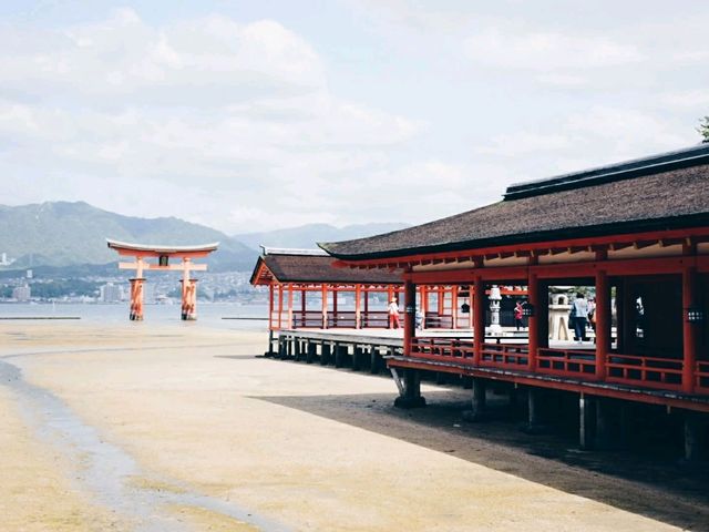 นั่งเรือข้ามเกาะMiyajimaเที่ยวศาลเจ้าสวยสุด นั่งเรือข้ามเกาะMiyajimaเที่ยวศาลเจ้าสวยสุด