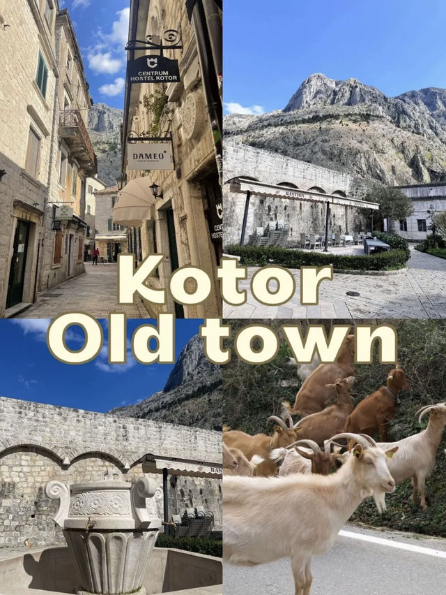 Kotor Old town เมืองที่ตกหลุมรักมากๆ🫶🏻