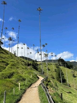 科科拉谷的高聳山巒與寧靜風光