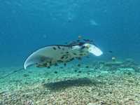 Bali 8 Days Travel Guide 