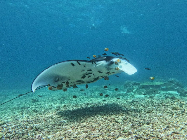 Bali 8 Days Travel Guide 