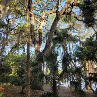 ハリー・P・ルー・ガーデンズ