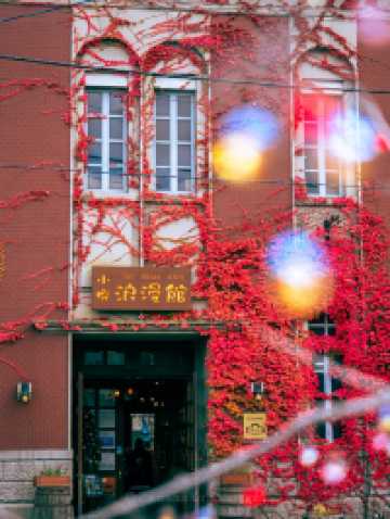 Autumn Vibes🍁in Otaru, Hokkaido
