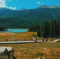 สวยมาก อุทยานแห่งชาติคานาส