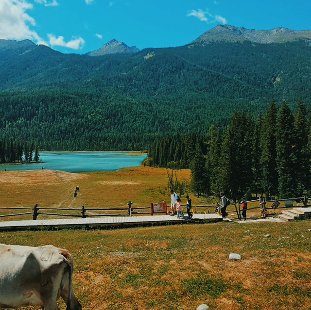 สวยมาก อุทยานแห่งชาติคานาส สวยมาก อุทยานแห่งชาติคานาส