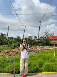 싱가포르 여행일정 공유 - DAY1 🇸🇬