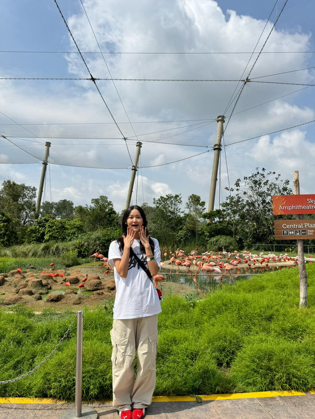 싱가포르 여행일정 공유 - DAY1 🇸🇬