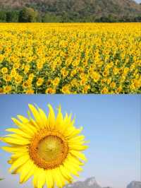 เที่ยวลพบุรี ครบทั้งธรรมชาติ ประวัติศาสตร์