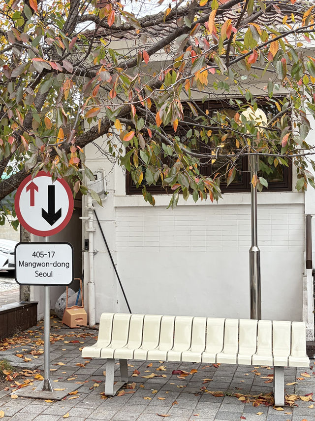 🍂 망원 데이트 코스, 감성 가득한 하루 ☕