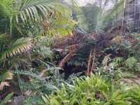 🥪Breakfast In The Garden🥪