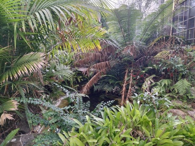 🥪Breakfast In The Garden🥪