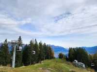 Mountain Magic Alps✨