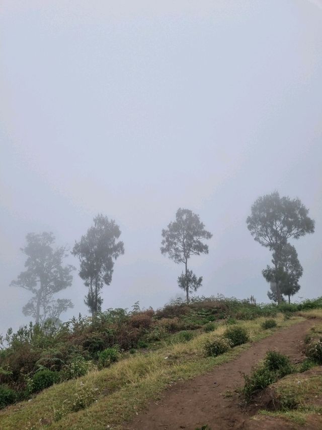 Vibrant Day Out🌸 Vibrant Day Out🌸