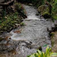 ที่พักสุดชิลแม่กำปอง