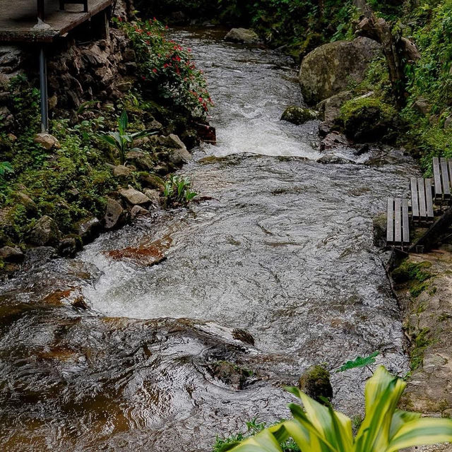 ที่พักสุดชิลแม่กำปอง ที่พักสุดชิลแม่กำปอง