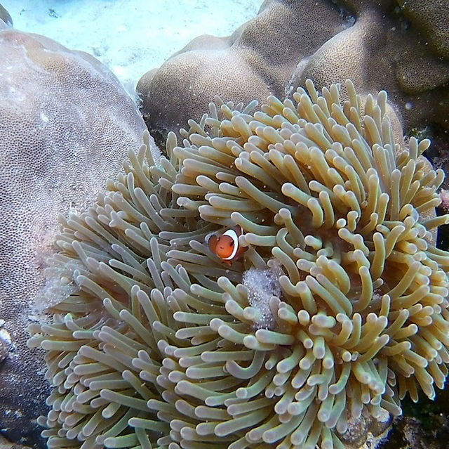 🏝️ เกาะหลีเป๊ะ มันเป๊ะมาก🌈 🏝️ เกาะหลีเป๊ะ มันเป๊ะมาก🌈