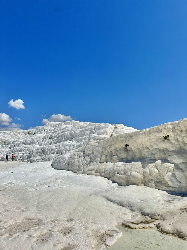 ์ด์์ ์ธ ํ๋ฌต์นผ๋ ! ์ด์์ ์ธ ํ๋ฌต์นผ๋ !