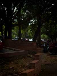 π Putrajaya Botanical Garden: A Green Paradise to Explore π