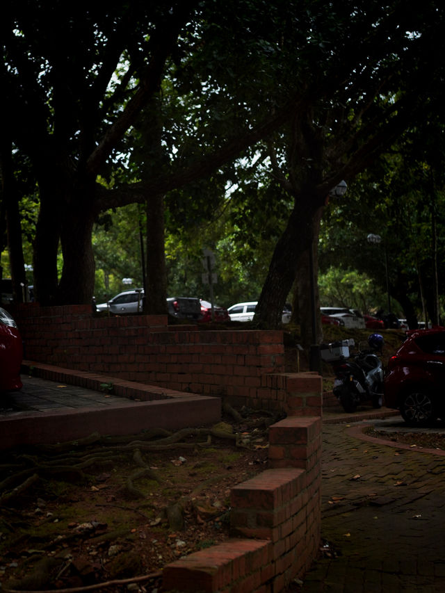 π Putrajaya Botanical Garden: A Green Paradise to Explore π π Putrajaya Botanical Garden: A Green Paradise to Explore π