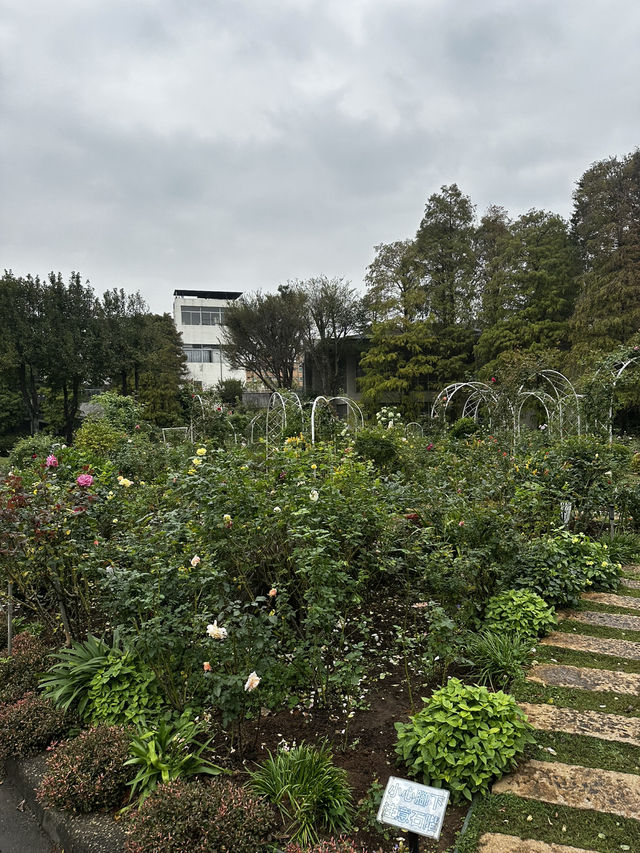桃園一日偽歐洲!楊梅雅聞城堡莊園:免門票拍爆哥德式城堡建築群 桃園一日偽歐洲!楊梅雅聞城堡莊園:免門票拍爆哥德式城堡建築群