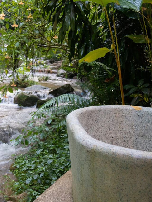 ชนบท Chonnabotบ้านแม่ลาย อ.แม่ออน จ.เชียงใหม่ ⛰️🏡 ชนบท Chonnabotบ้านแม่ลาย อ.แม่ออน จ.เชียงใหม่ ⛰️🏡